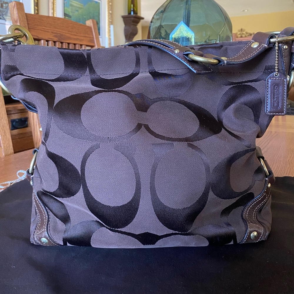 Chocolate Brown Slouchy Coach Bag